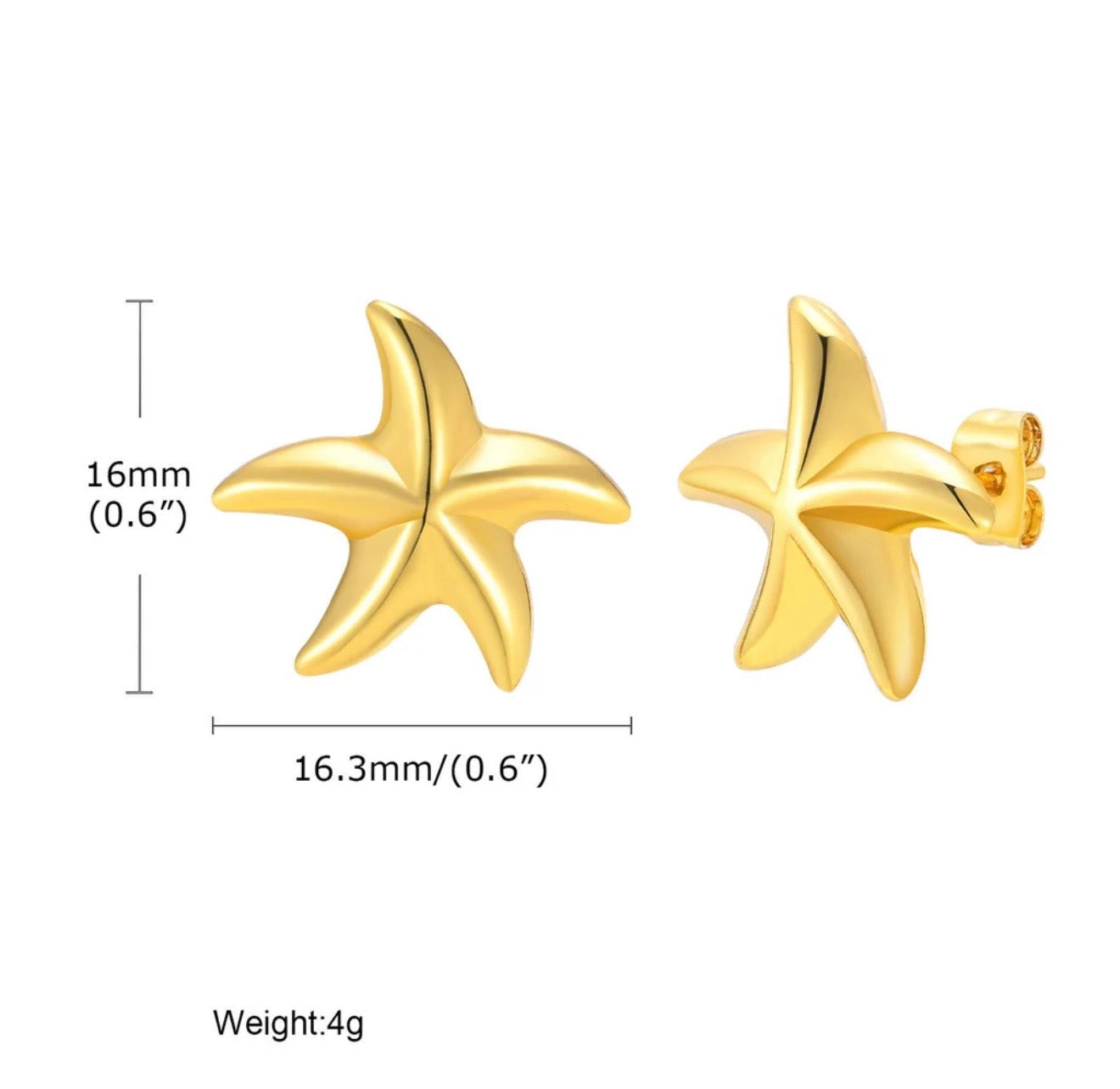 Lottie ~ small starfish earrings image 3